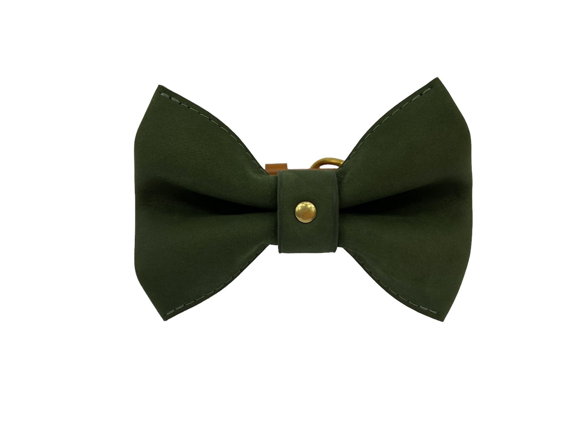 Nœud papillon pour chien DANAUS PLEXIPPUS - 3