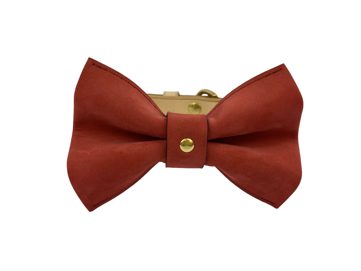 Nœud papillon pour chien DANAUS PLEXIPPUS - 4